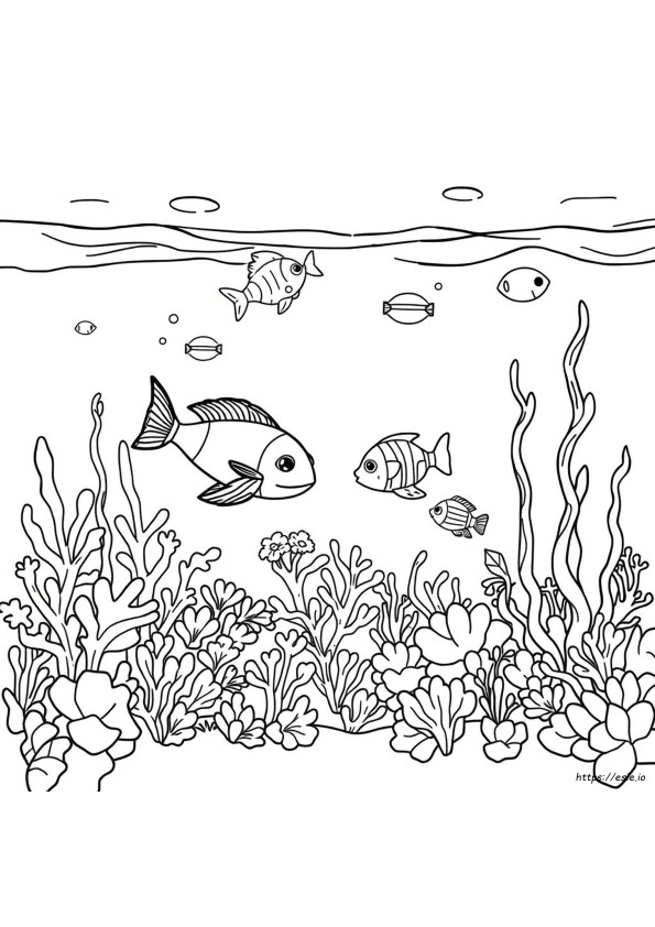 Páginas Para Colorear De Criaturas Marinas