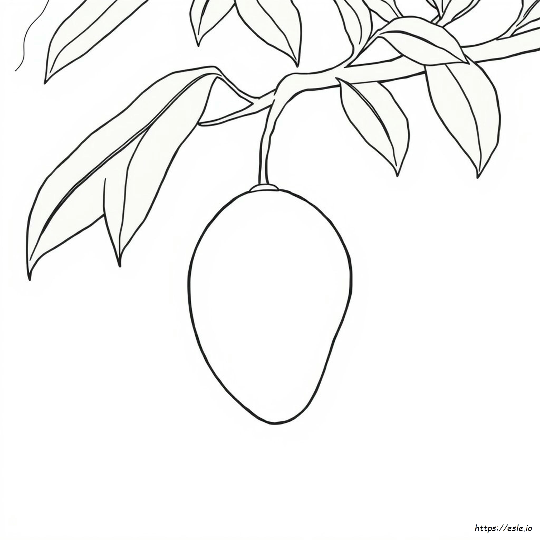 Colouring Page Of Mango
