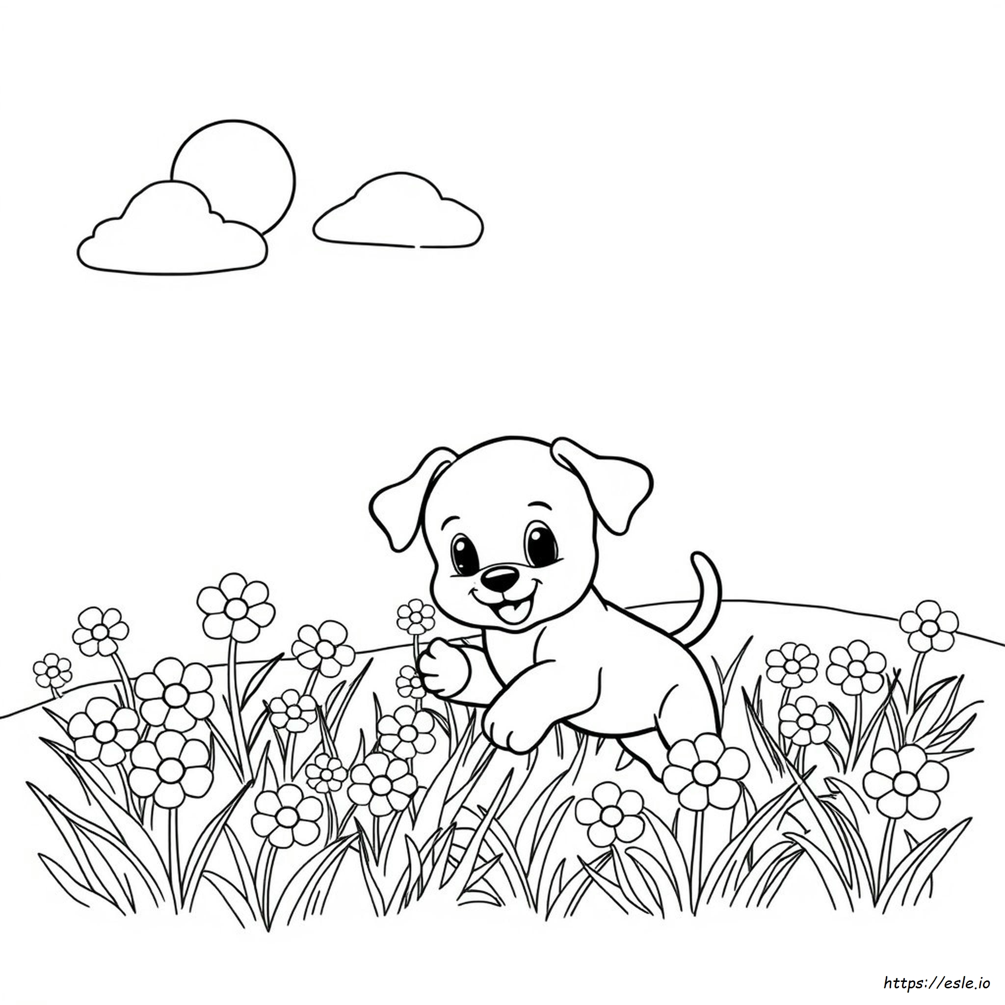 Libro Da Colorare: Cuccioli