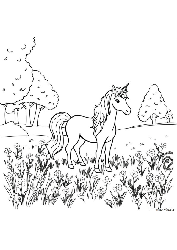 Unicorn Colour In Picture