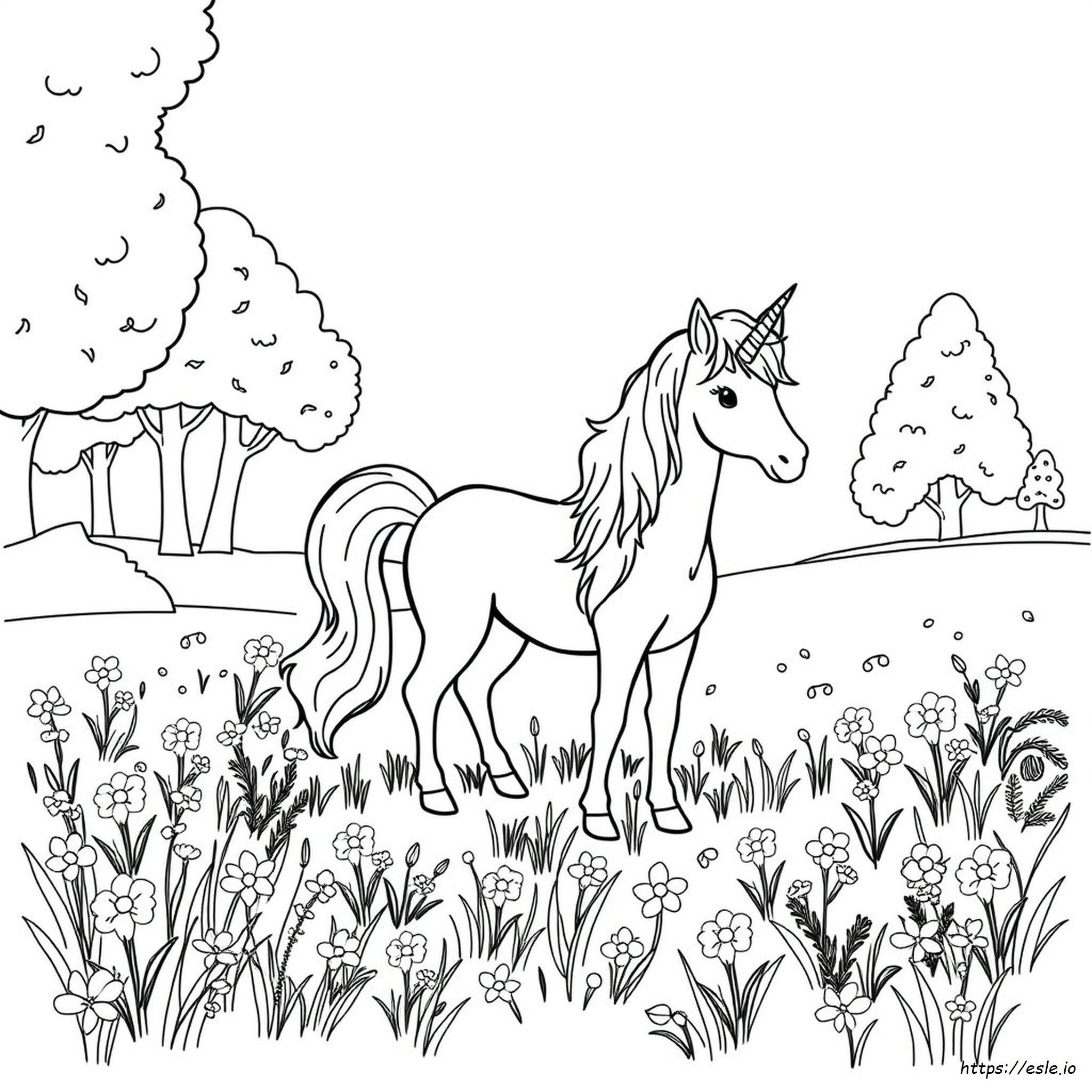 Unicorn Colour In Picture