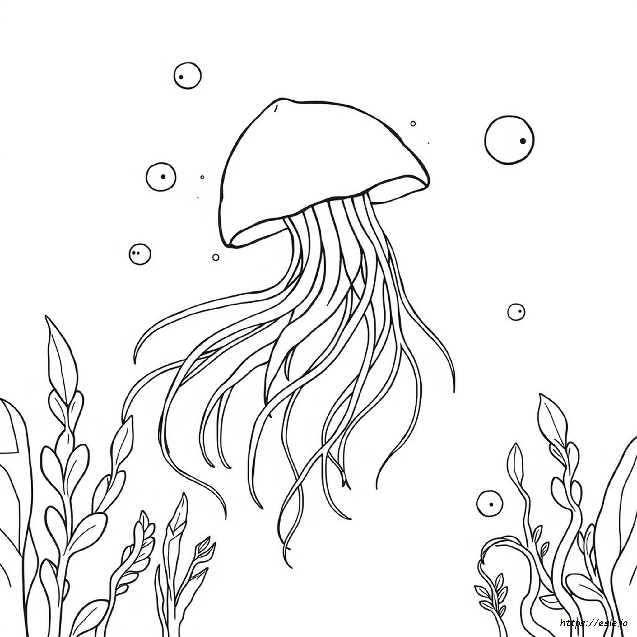 Adult Coloring Pages Jellyfish
