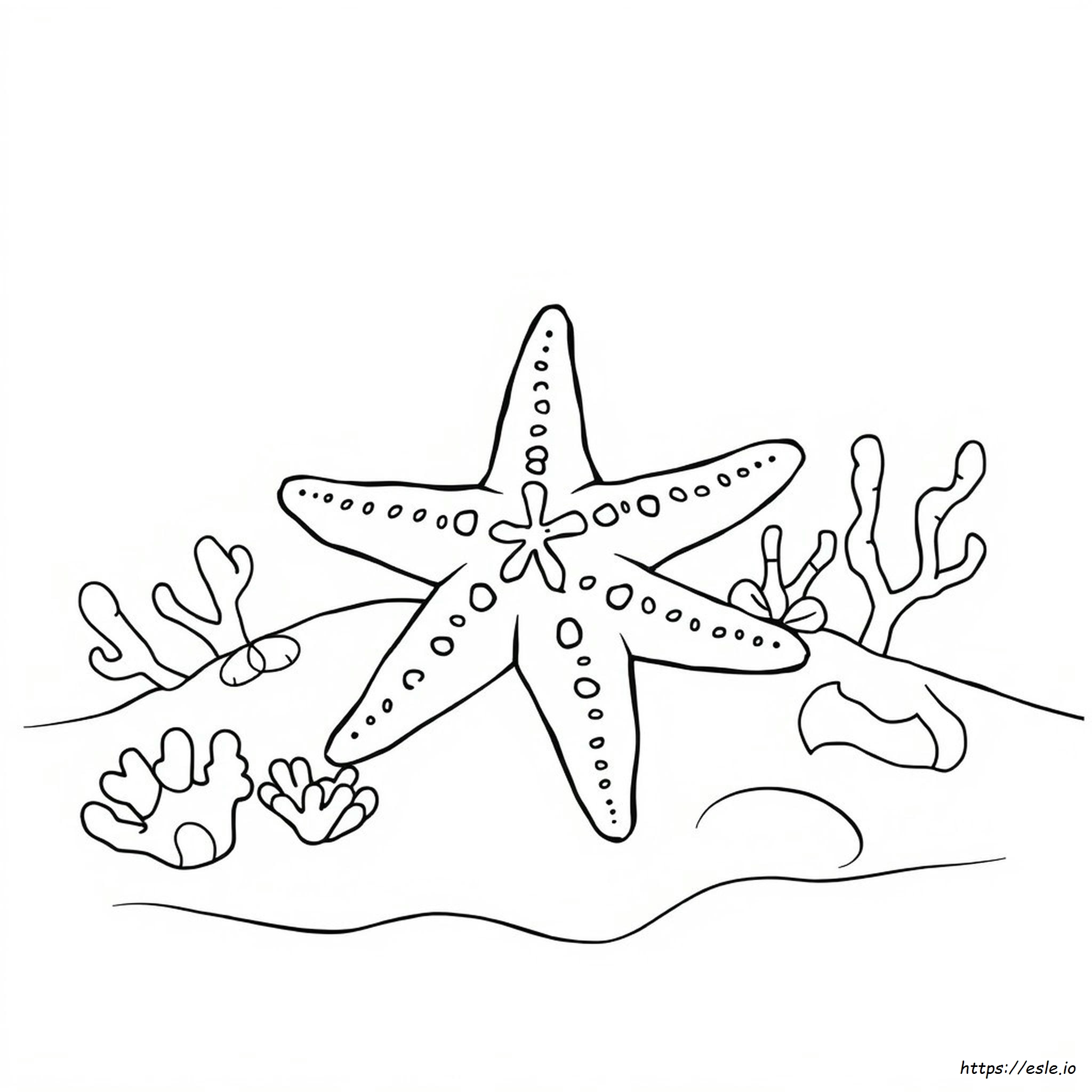 Starfish Colouring Pages