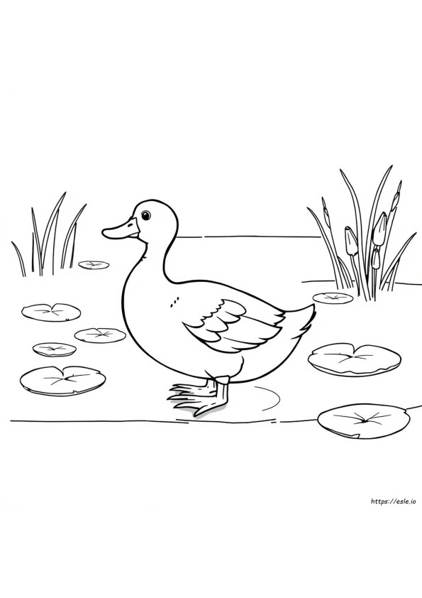 Clip Art Mewarnai Bebek