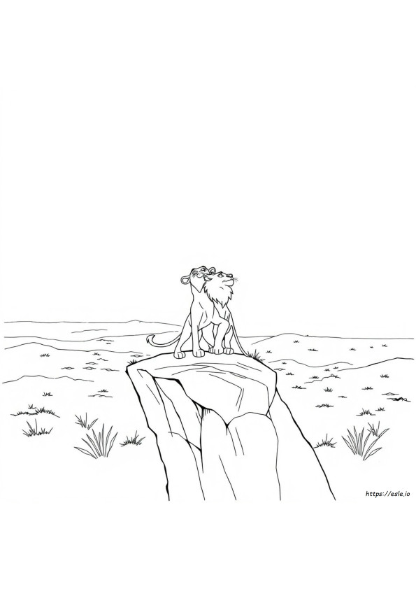 Szikla És Mufasa Kifestő