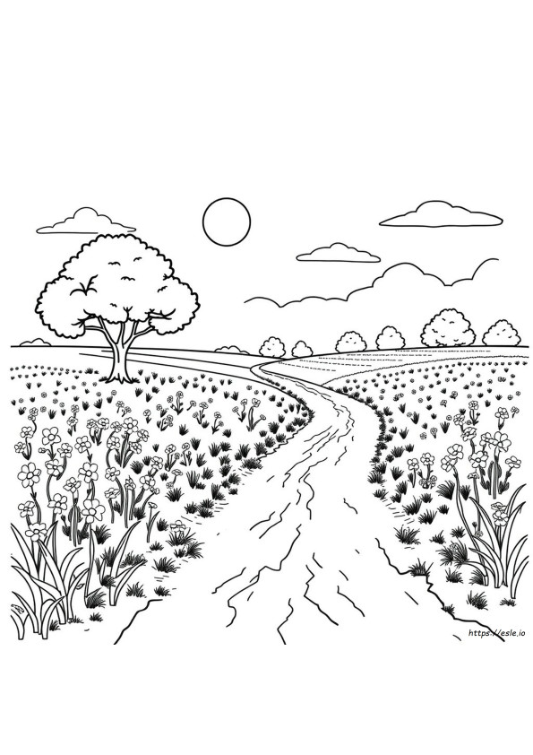 Desenhos De Terra Para Colorir