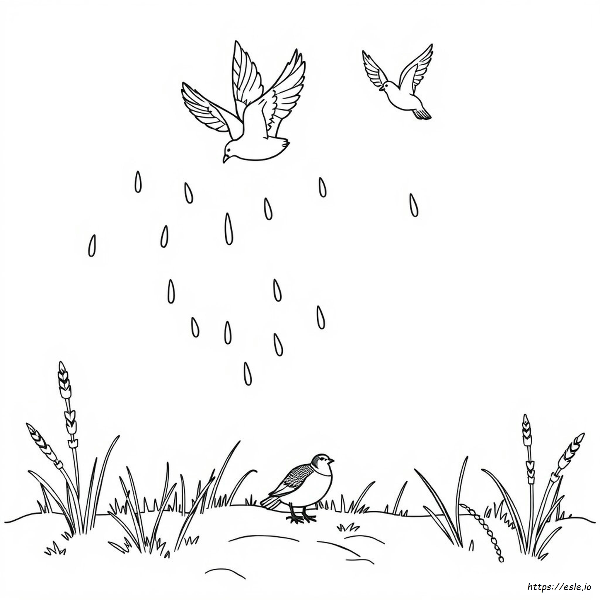 Manna And Quail Coloring Page
