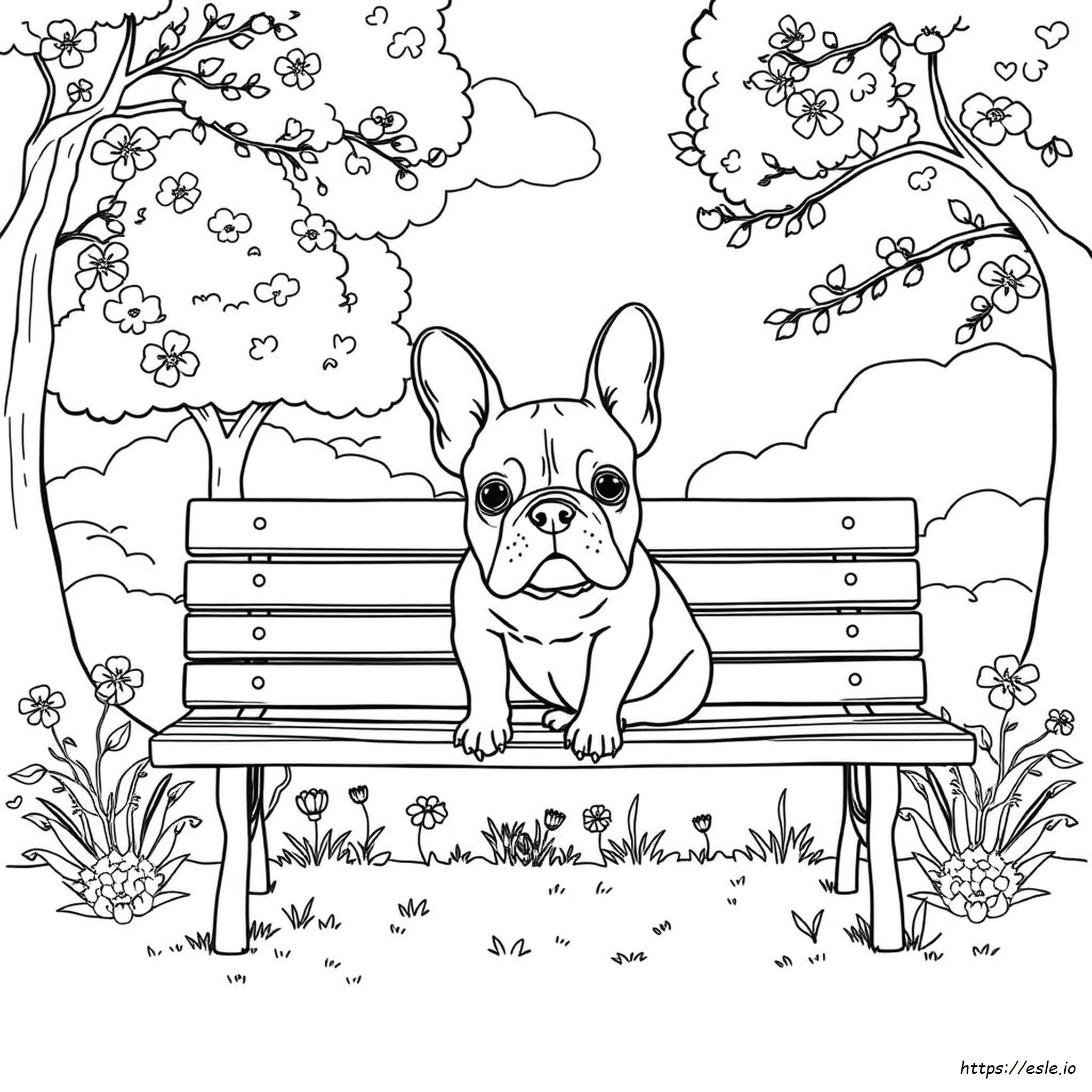 French Bulldog Colouring Sheet