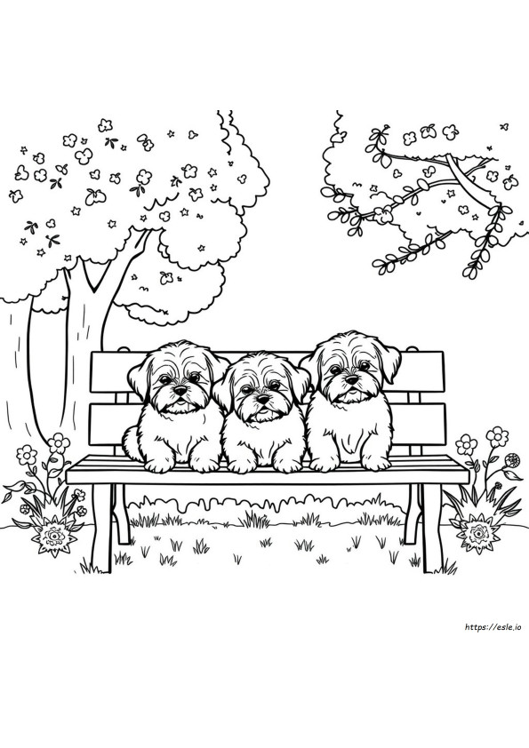 Shih Tzu Coloring Pages Free