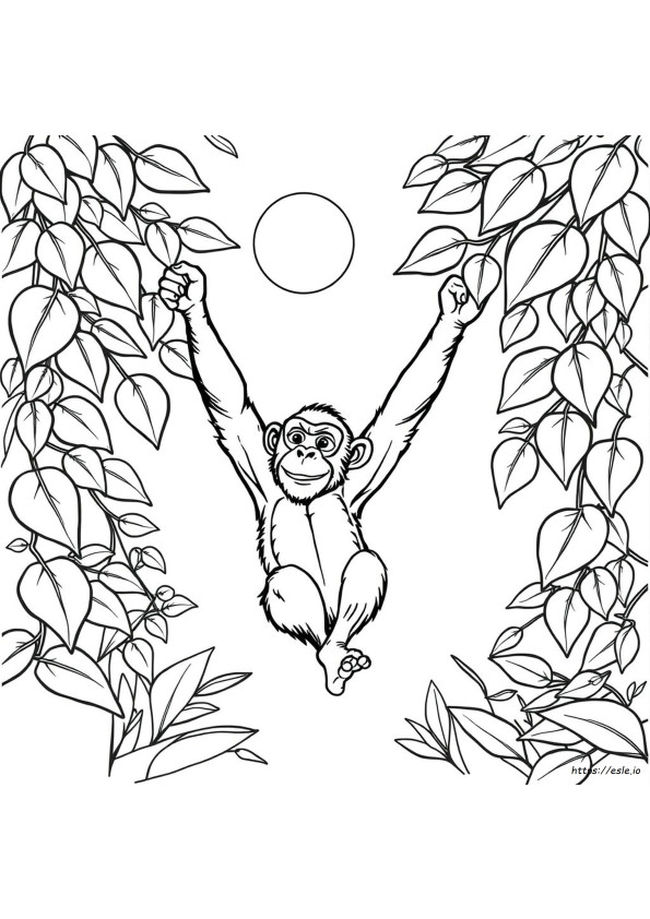 Coloriage Chimpanzé