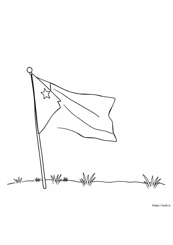 palestine-flag-coloring-page