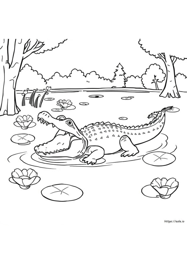 Dibujo De Cocodrilo Para Colorear