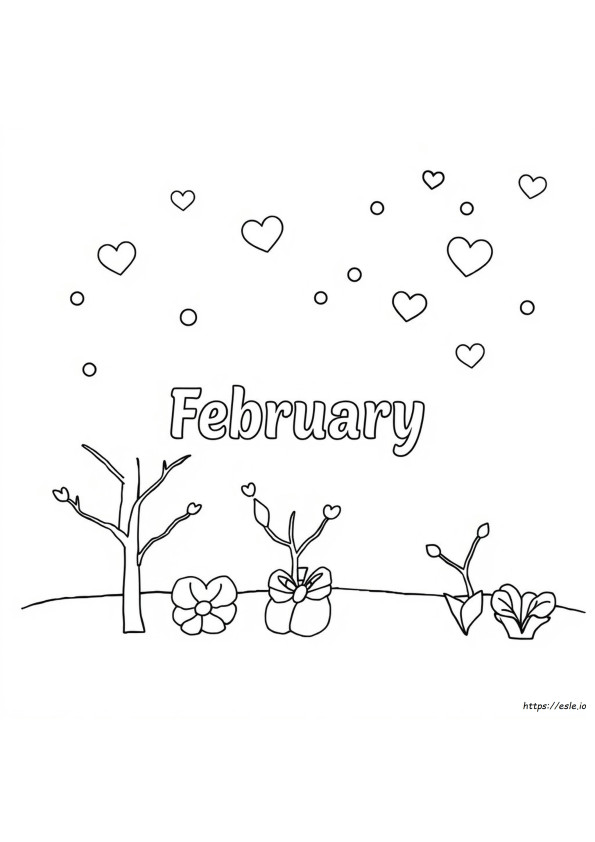 Kleuren Voor Februari