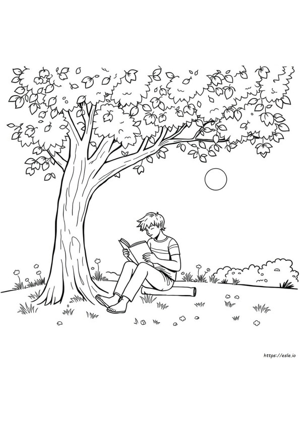 Disegni Da Colorare Per Adulti Di Agosto