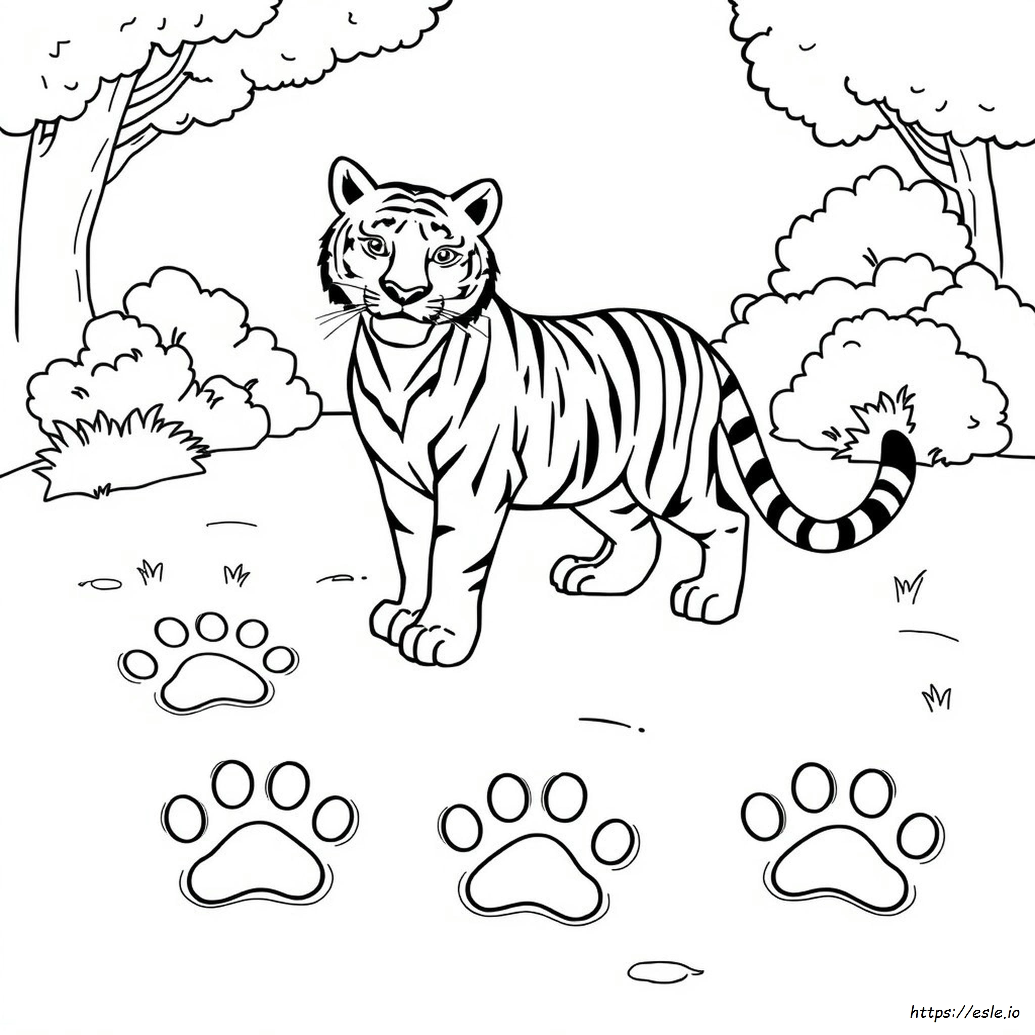 Tiger Paw Print Coloring Page