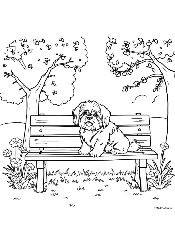 Shih Tzu Ausmalbild