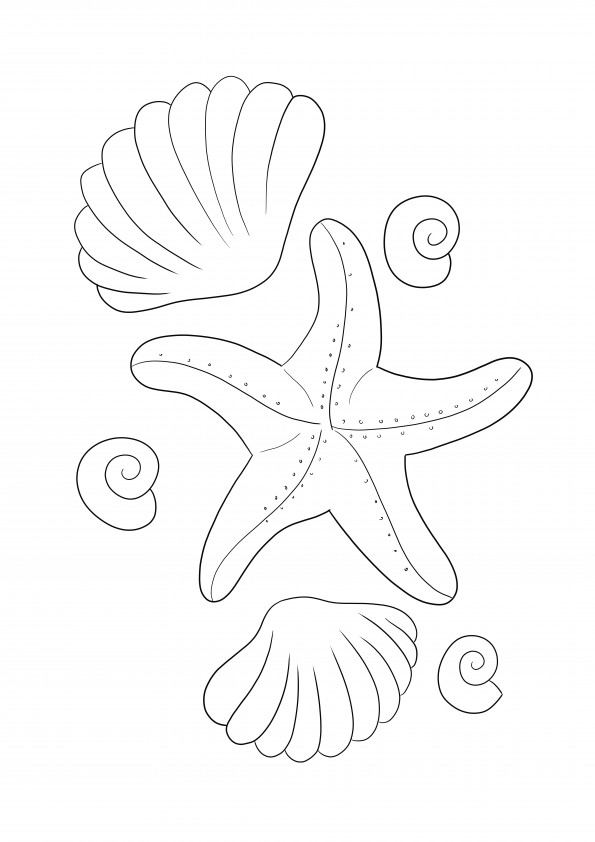 Image à colorier étoile de mer et coquillages à imprimer et à télécharger gratuitement
