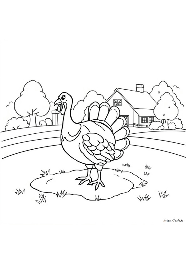 Turkey Coloring Page For Kids