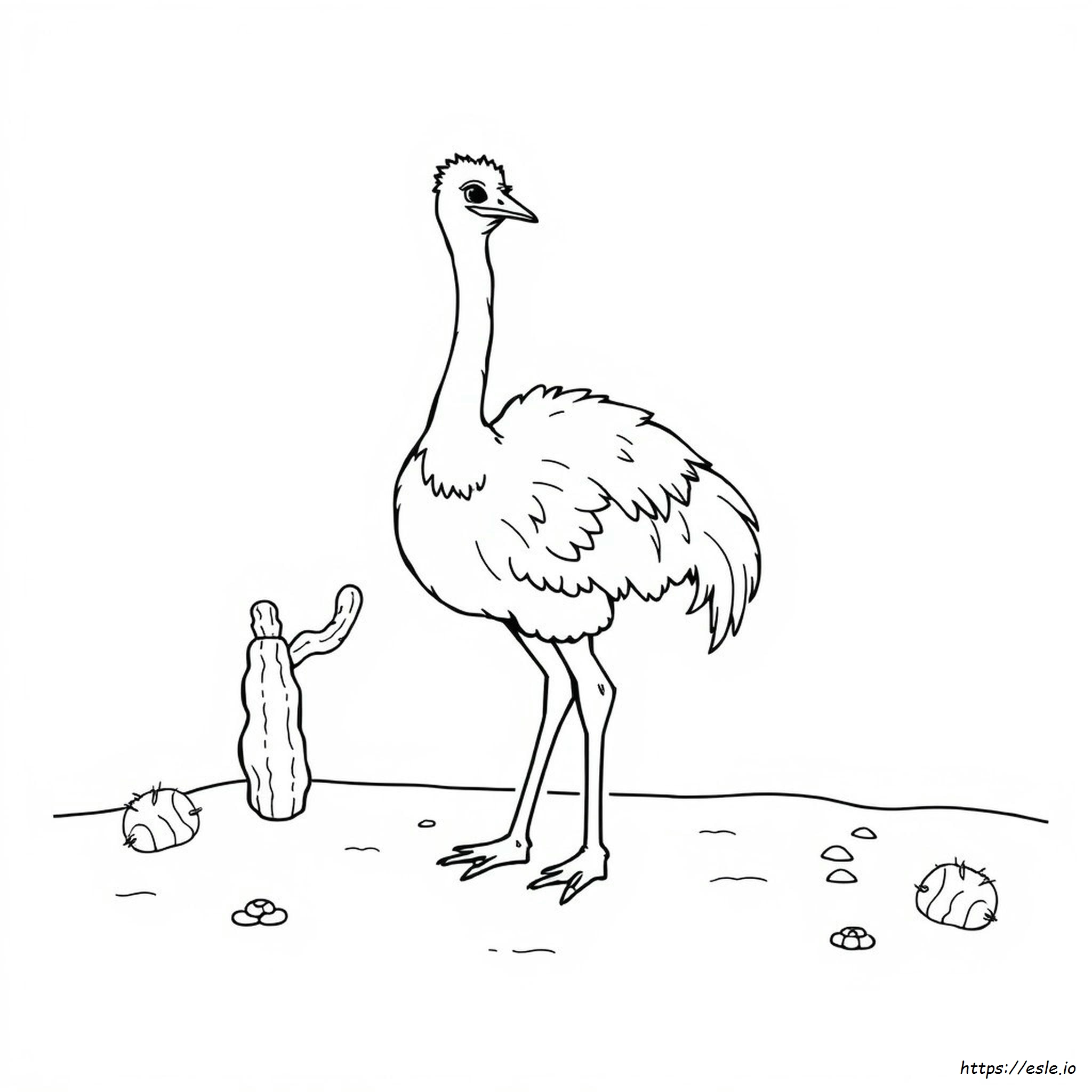 Coloring Page Of An Ostrich
