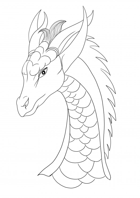 A cute female dragon looks anxious as it is free to be colored and printed