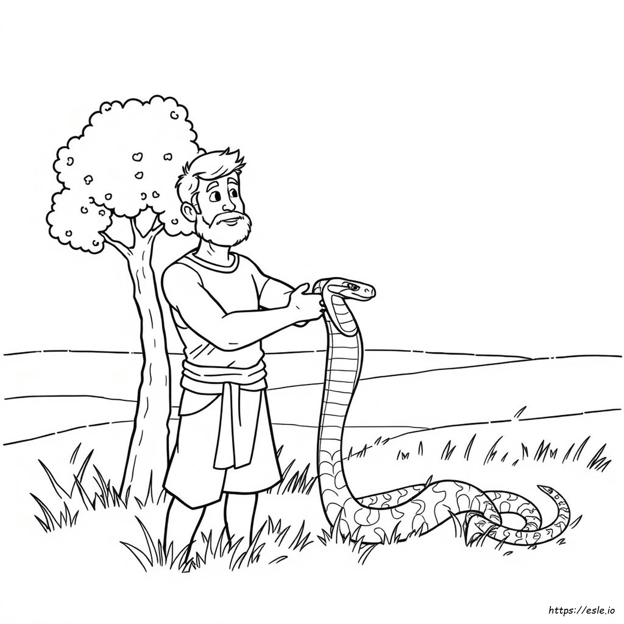 Paul Mușcat De Șarpe De Colorat