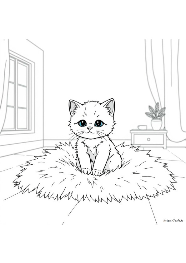 Kolay Kedi Yavrusu Boyama Sayfaları