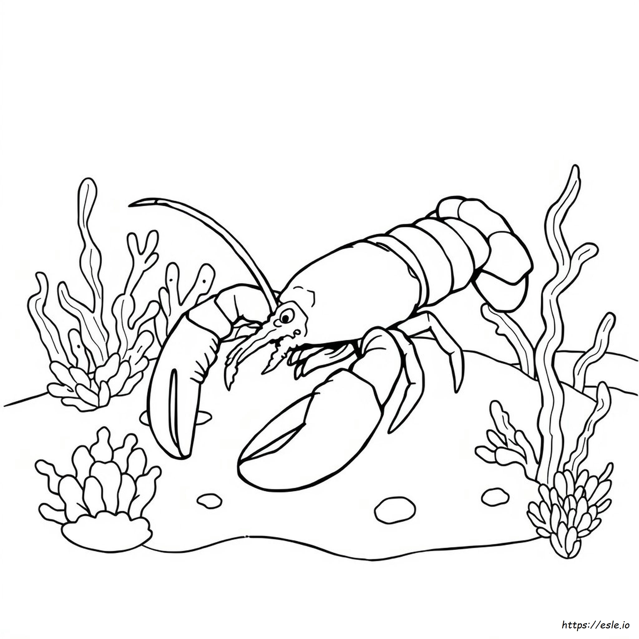 Lobster Colouring In