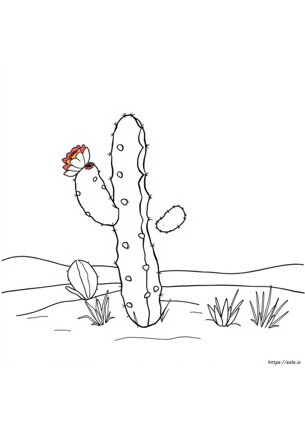 Opuntia Kaktus Värityskuva
