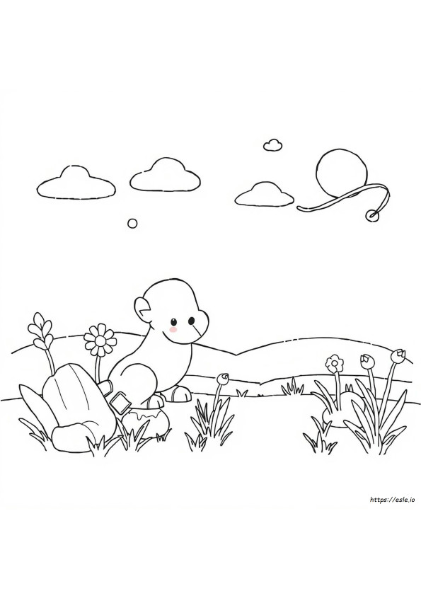 Pictures With No Colour