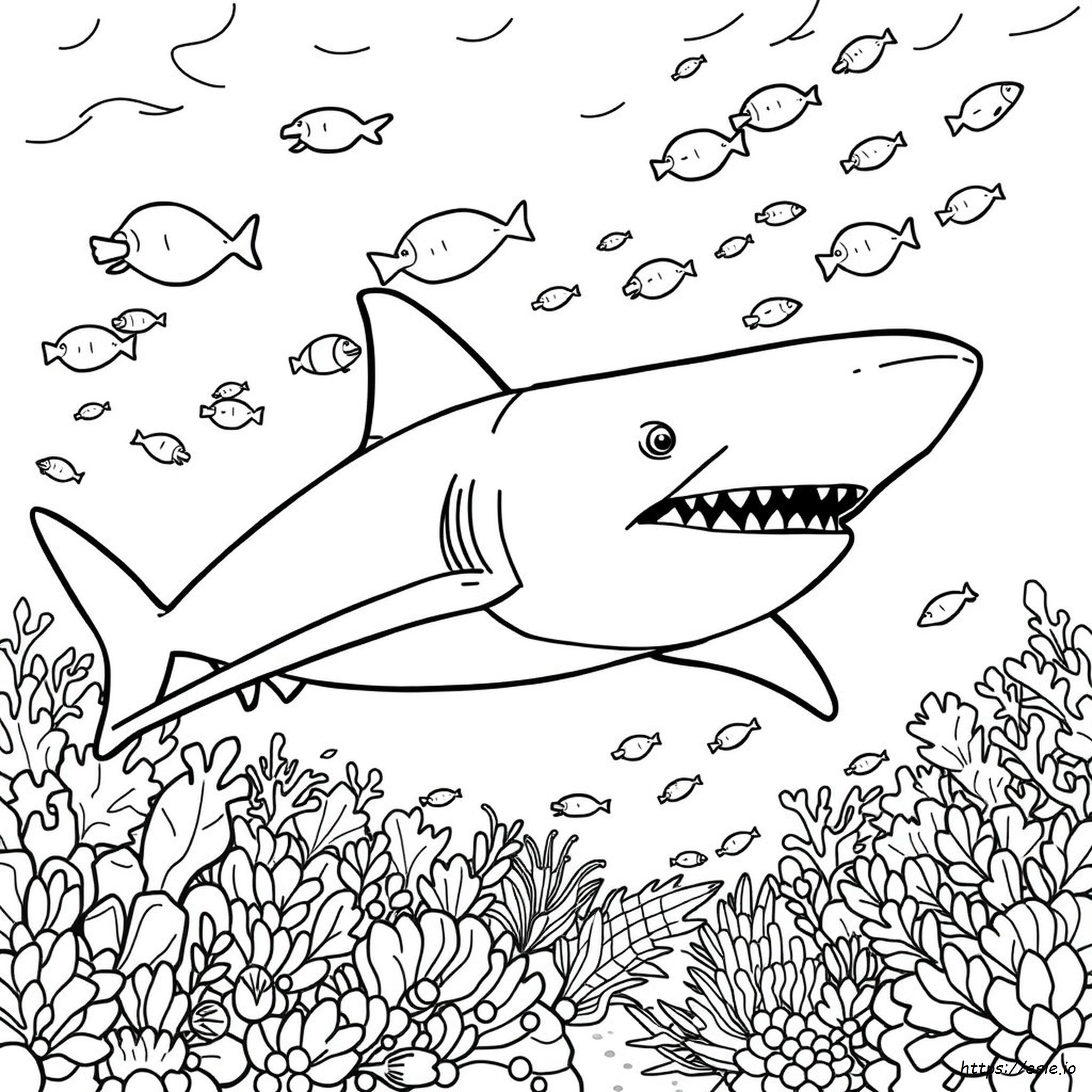 Megalodon Shark Colouring Pages