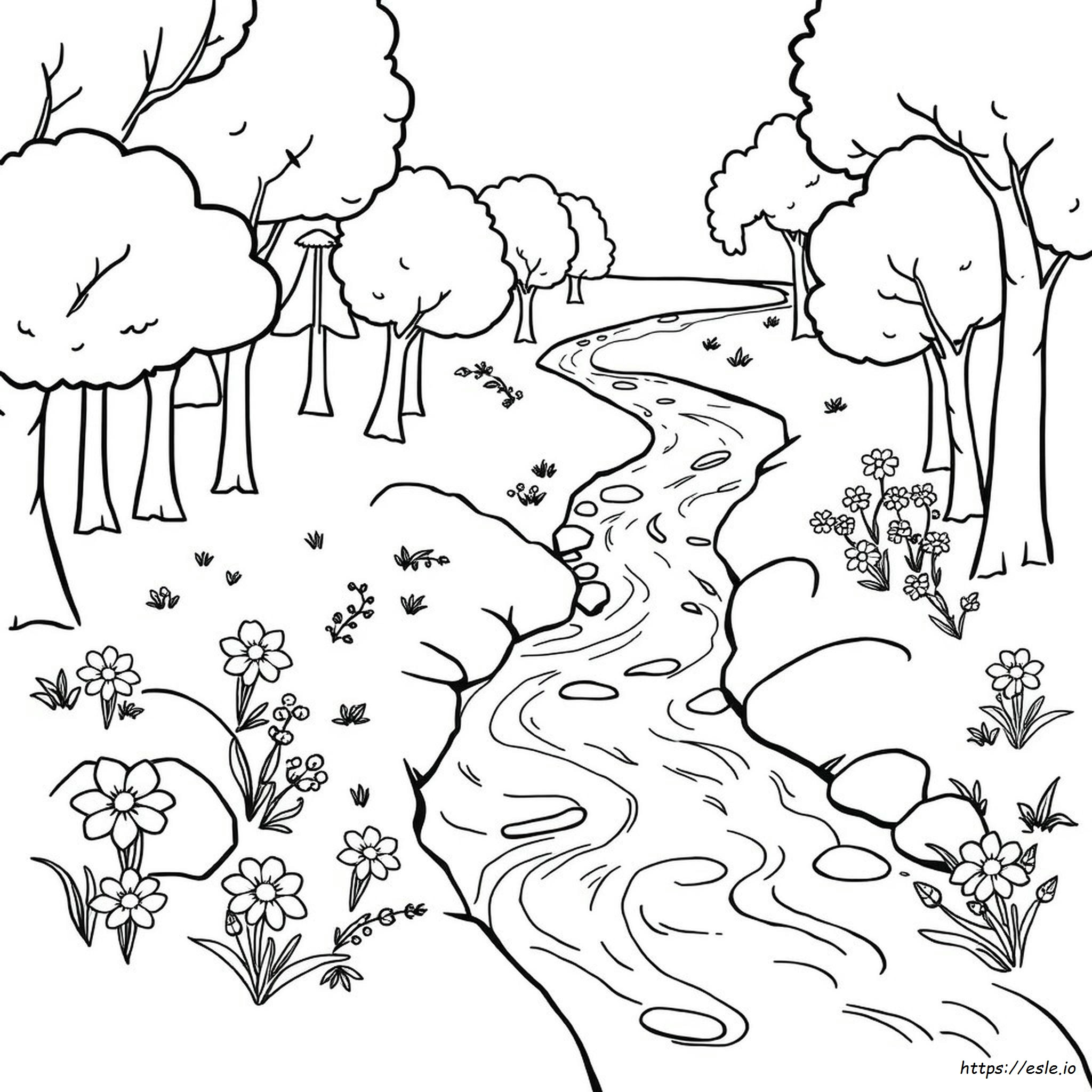 Coloring Pages Stream
