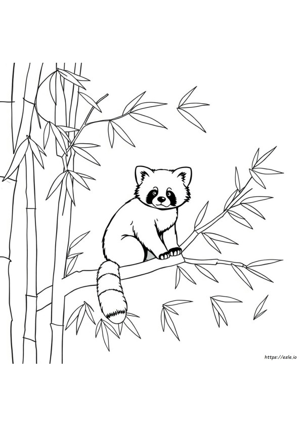 Foi De Colorat Panda Roșu