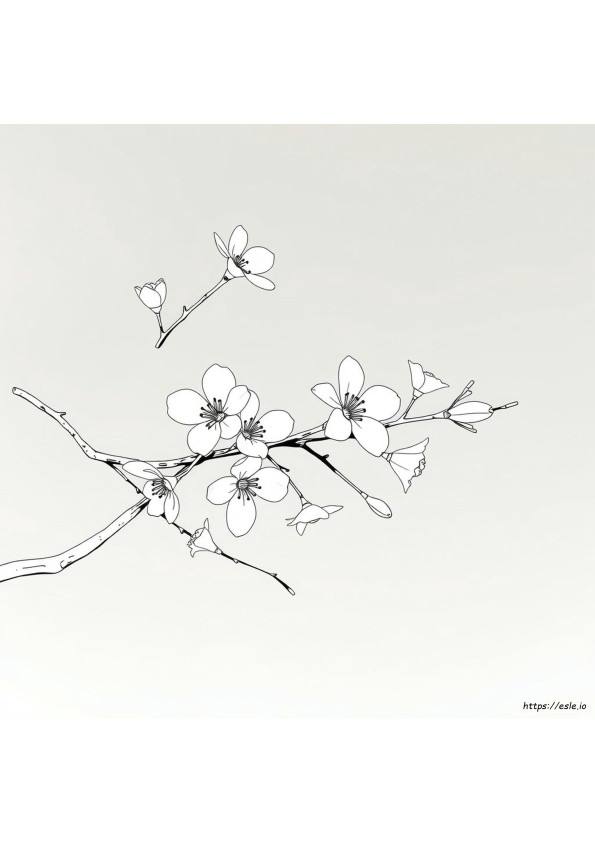 Lente Kleuren Op Nummer Pagina's