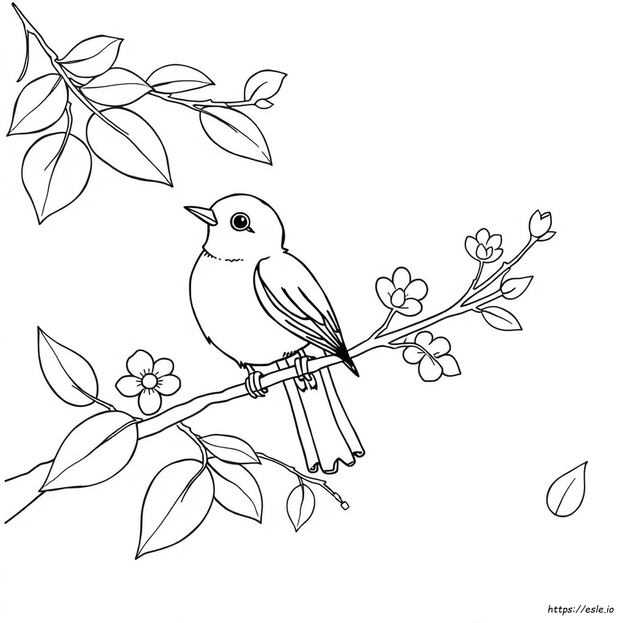 Gambar Mewarnai Burung Untuk Dewasa