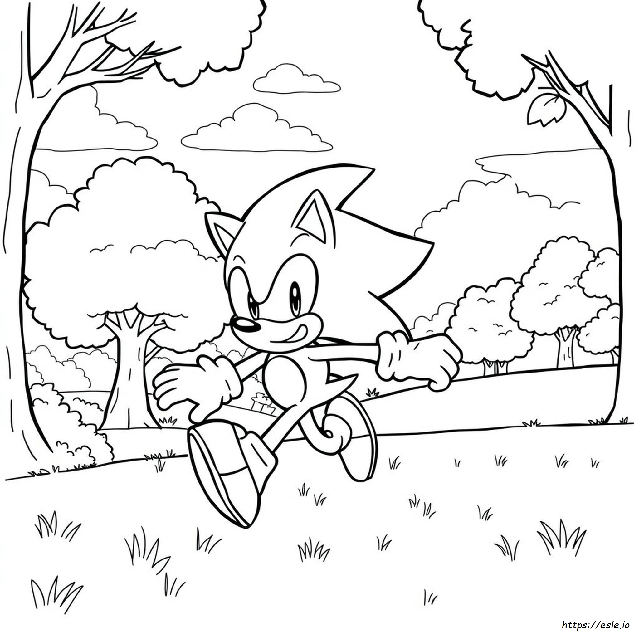 Dibujos De Sonic Para Colorear