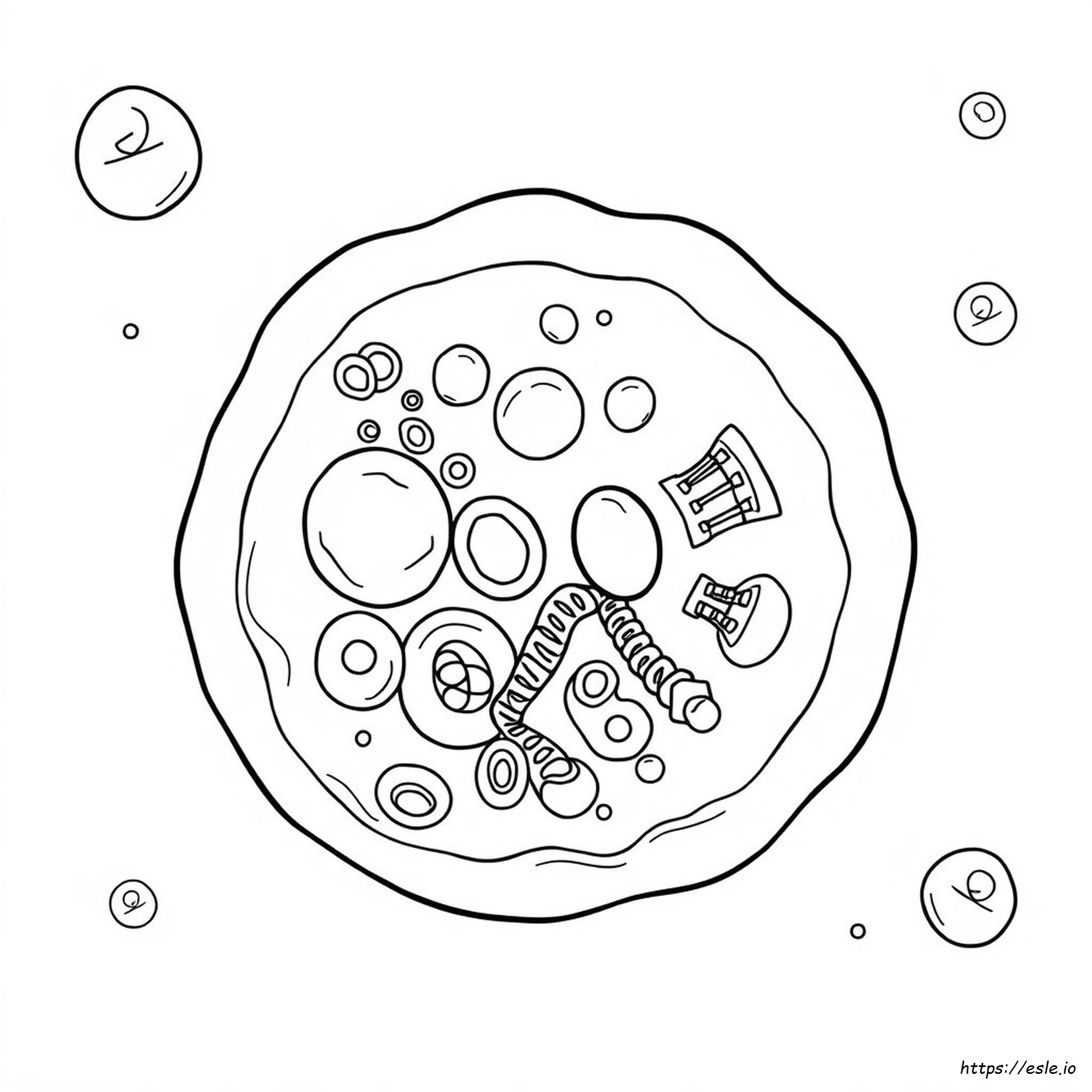 Do Organelles Have Color