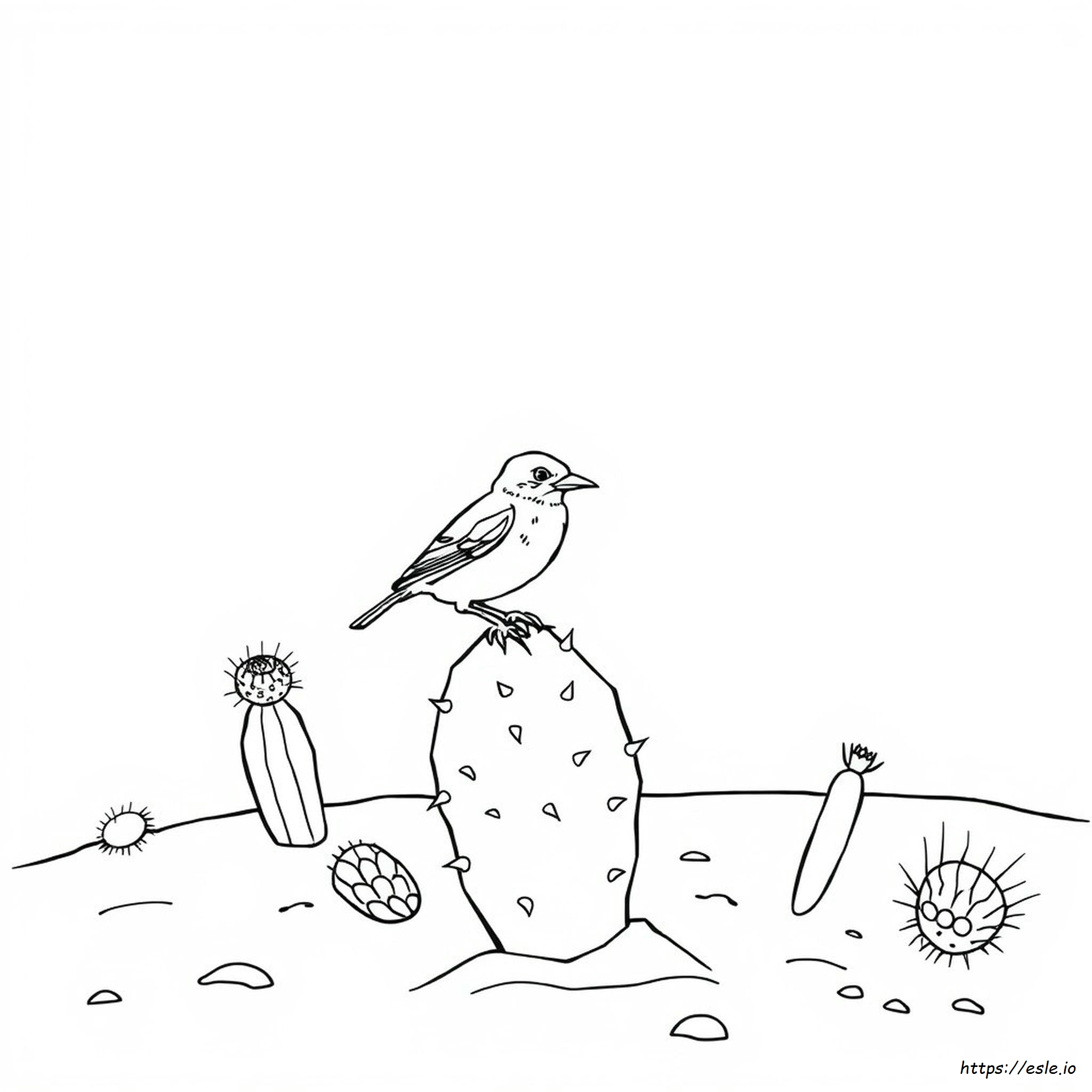 Cactus Wren Coloring Page