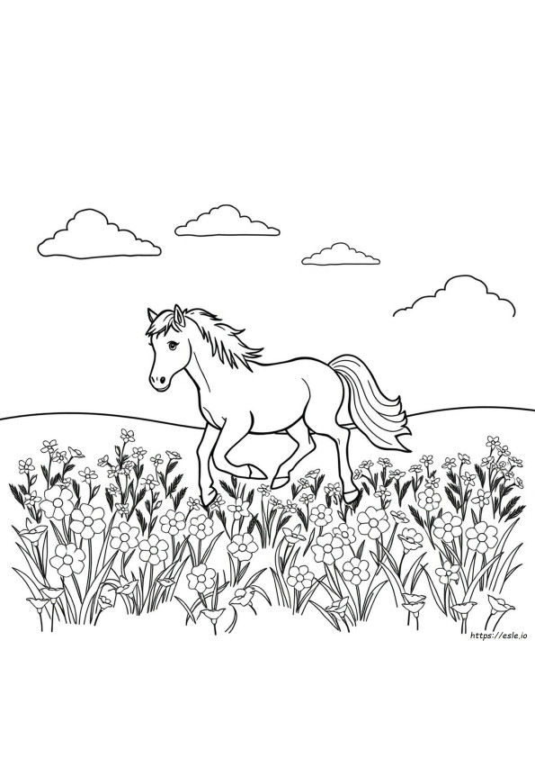 Pony Colouring Pictures