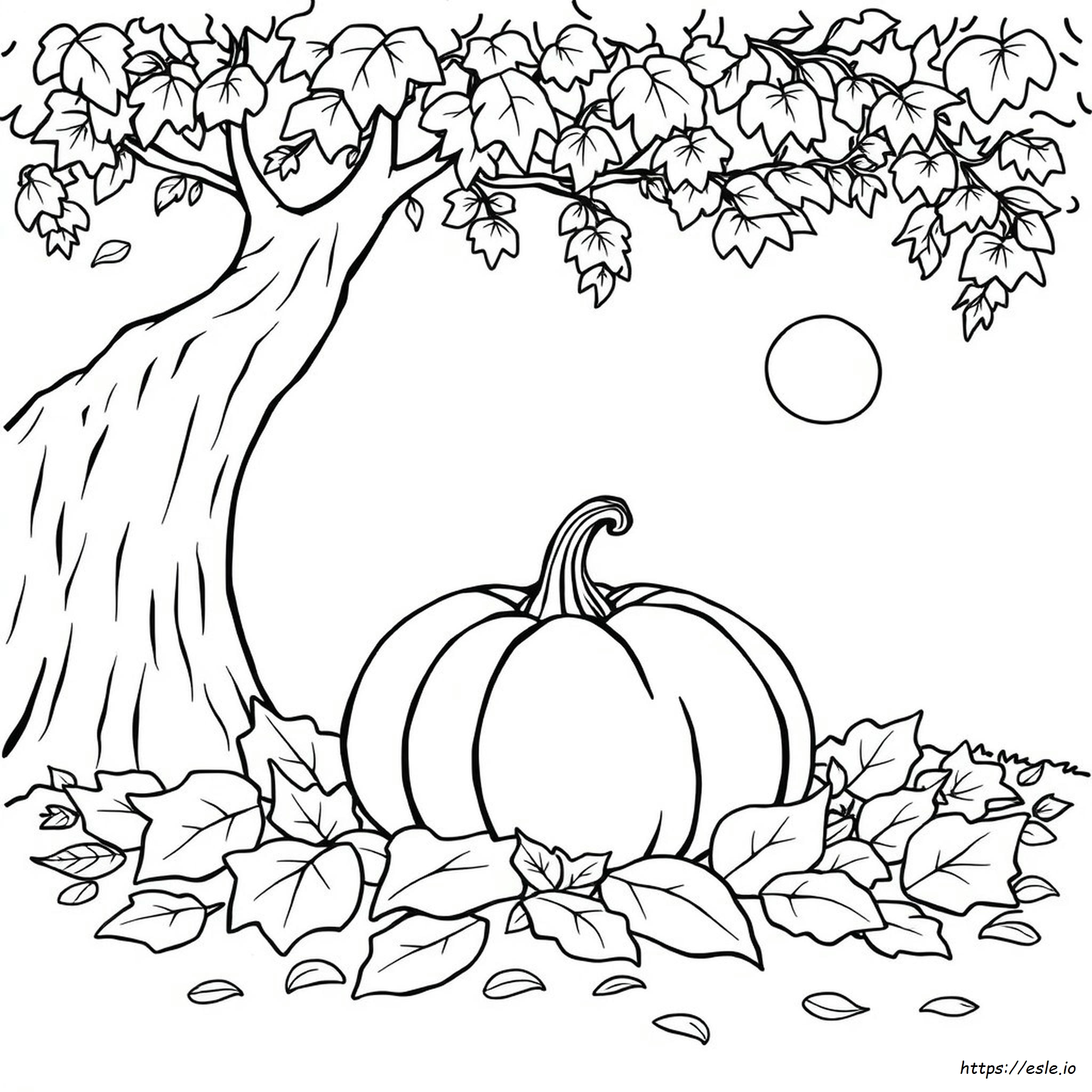 Herbst K rbis Ausmalbilder Zum Ausdrucken