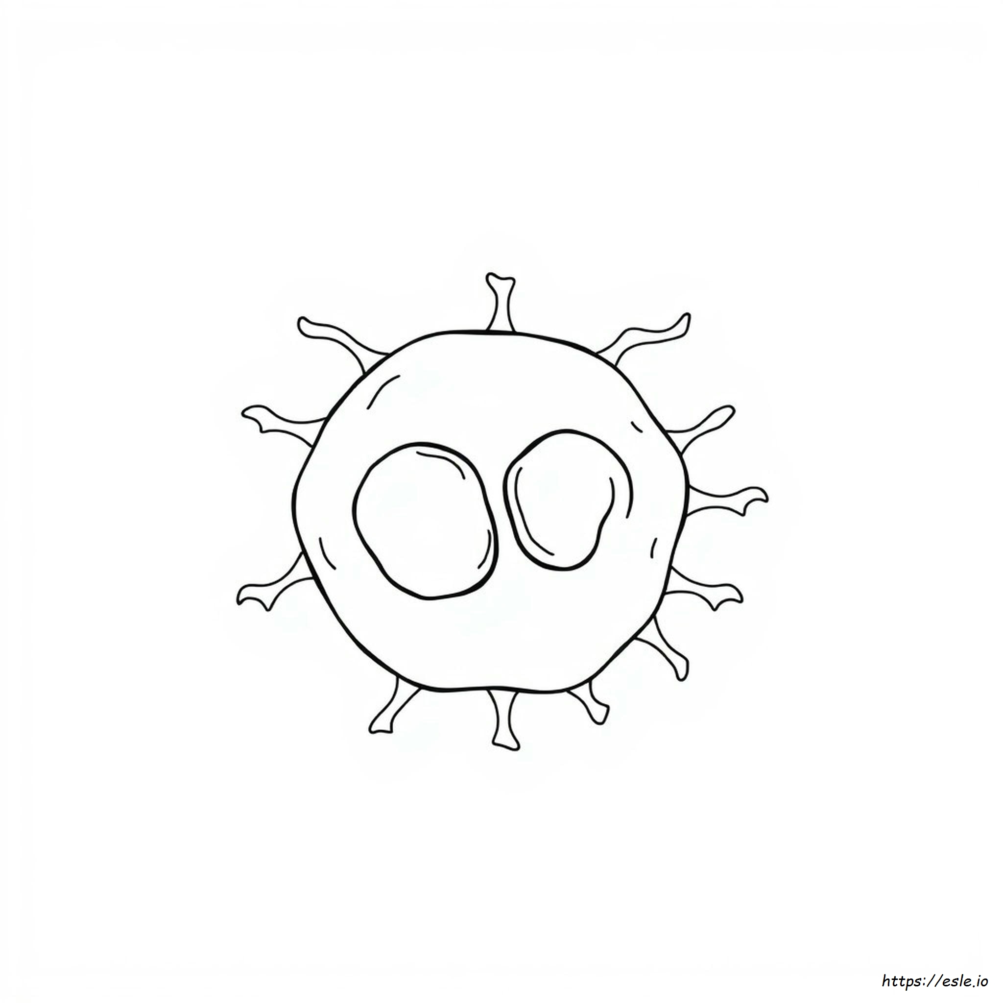 Meiosis Para Colorear