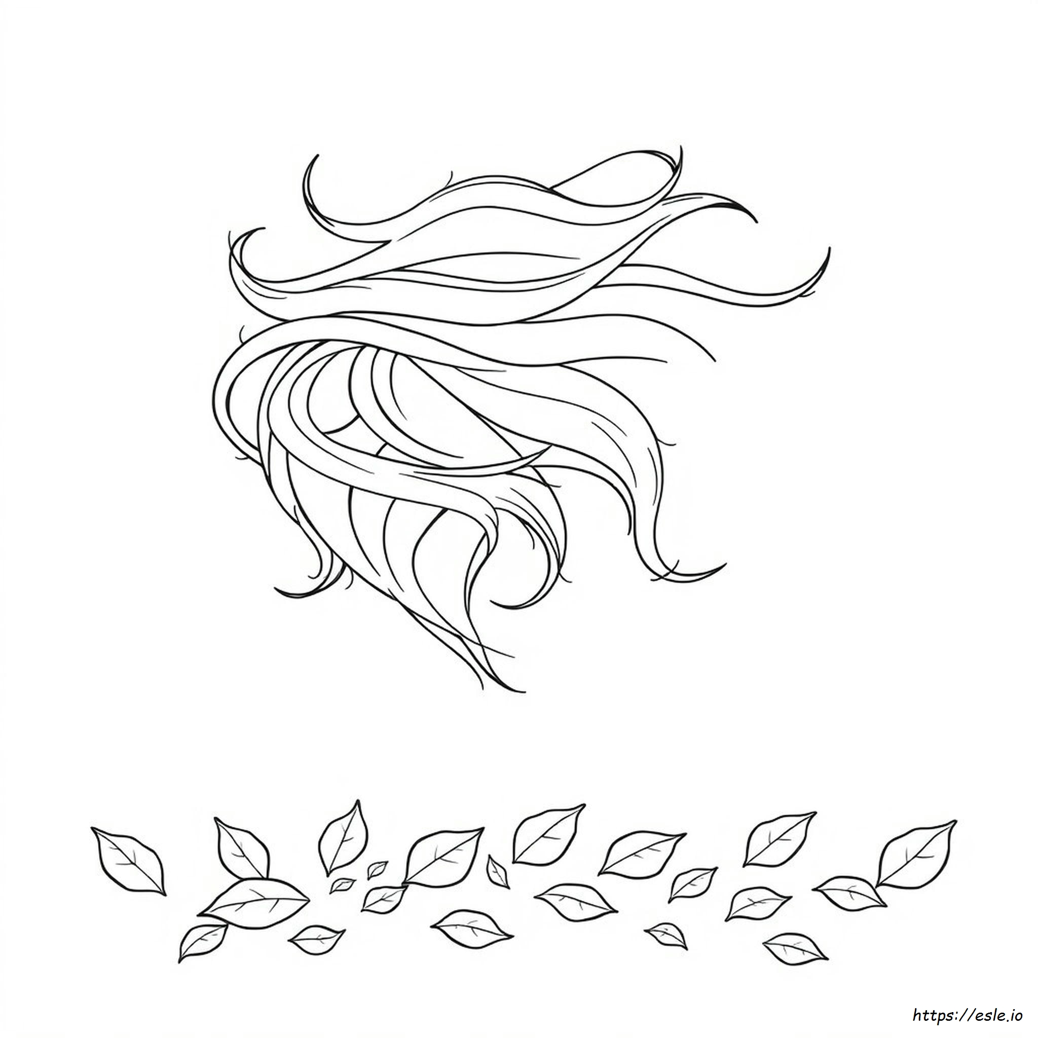 Páginas Para Colorear Para Adultos: Cabello