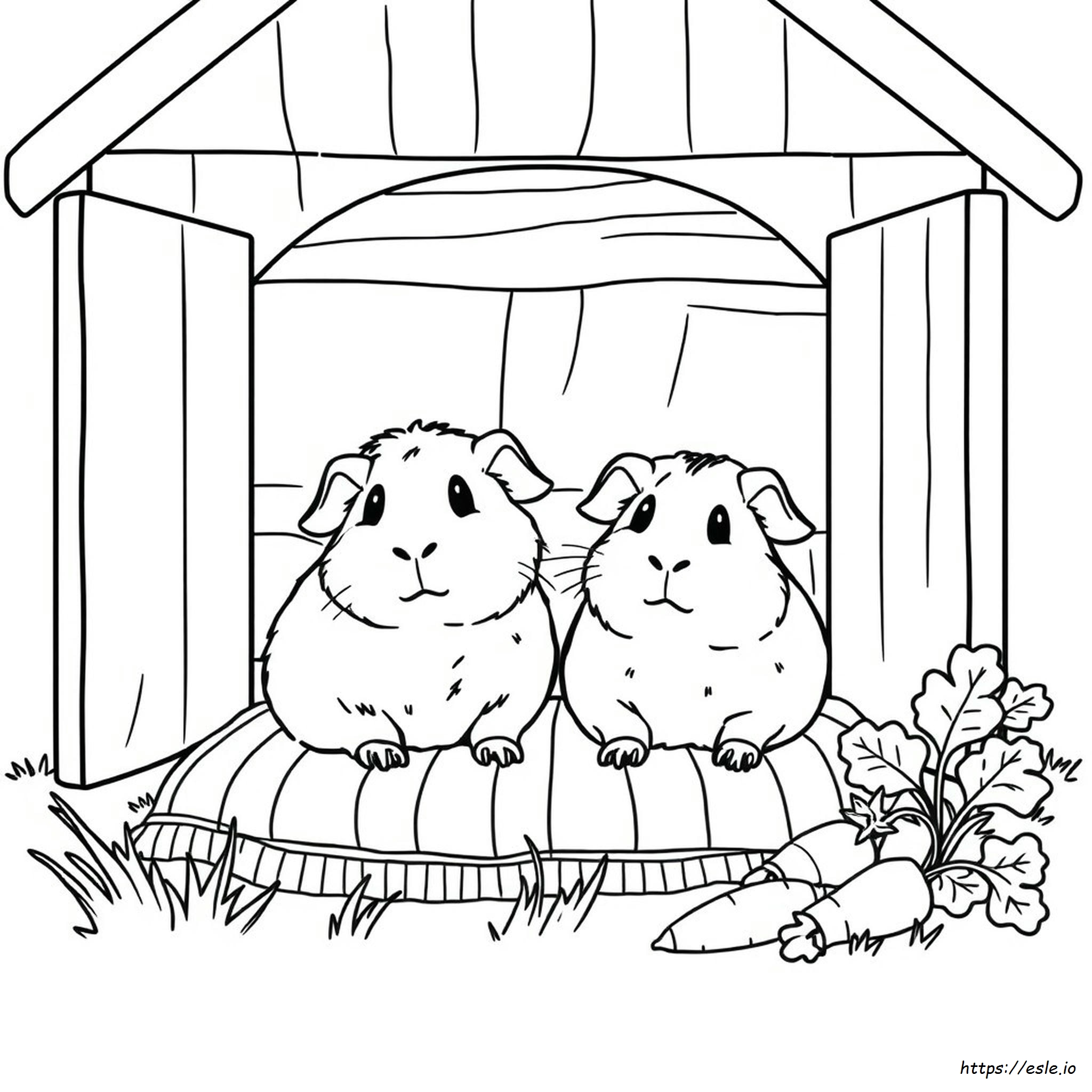 Coloring Pages Guinea Pigs