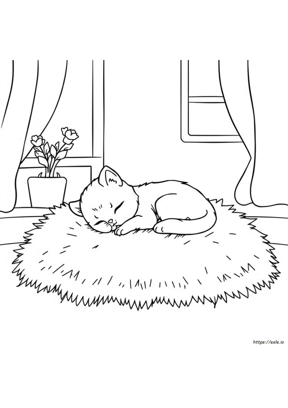 Baby Cat Coloring Page