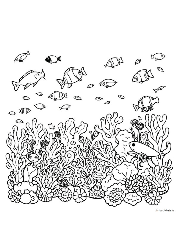 Animales Del Arrecife De Coral Para Colorear