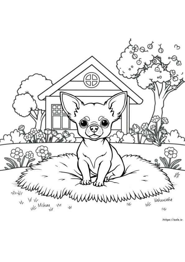 Chiwawa Coloring Pages