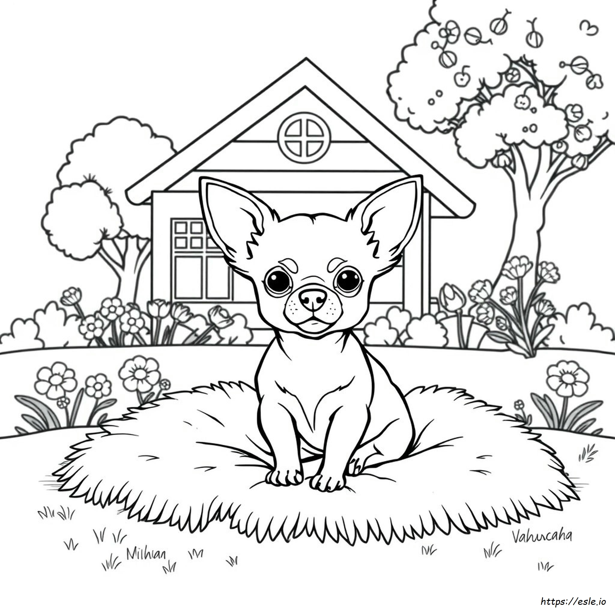 Chiwawa Coloring Pages