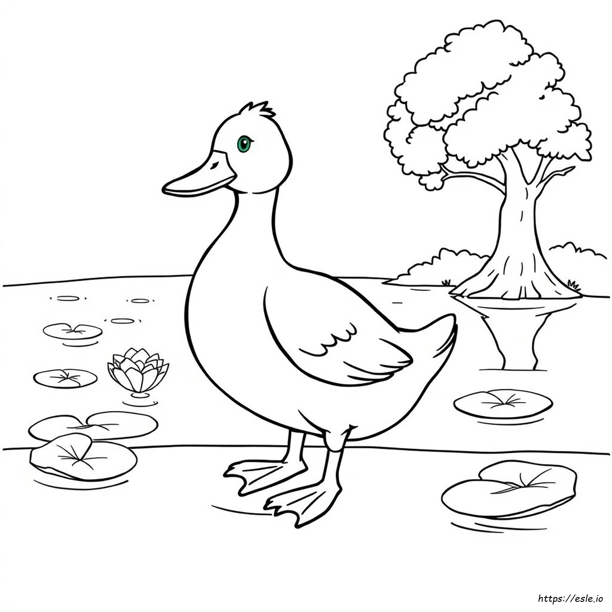 Colouring Page Of Duck