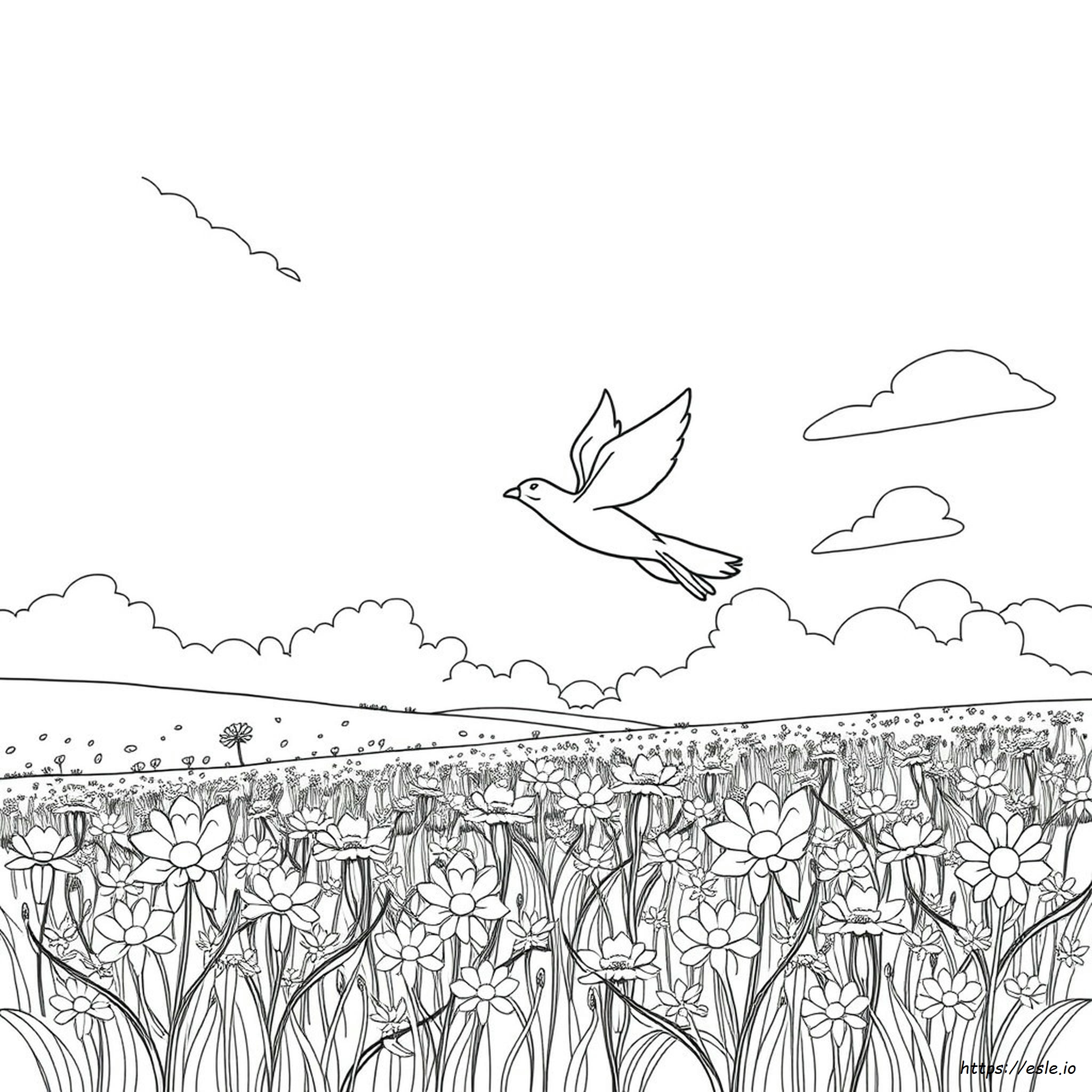 Spirit Coloring Pages