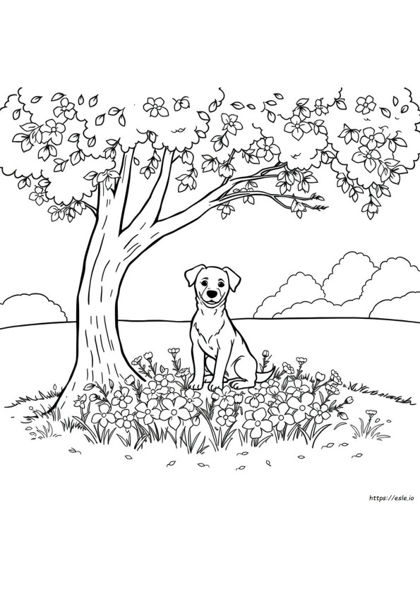 Libro Para Colorear De Perros