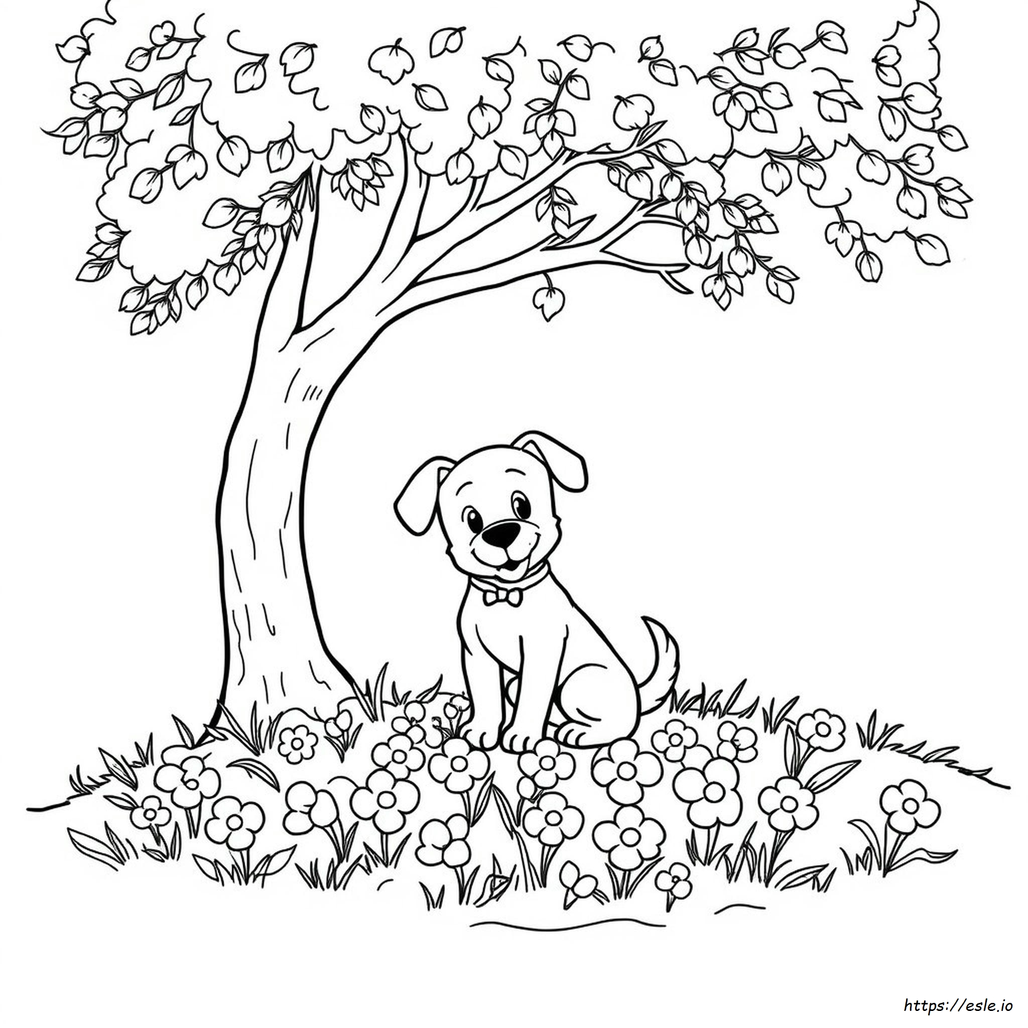 Gattino Carino Facile Da Colorare